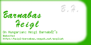 barnabas heigl business card